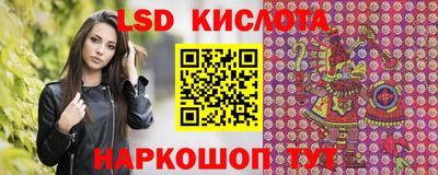 СК Бийск