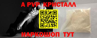 СК Бийск