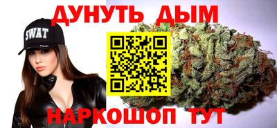 СК Бийск