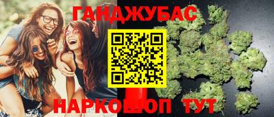 СК Бийск