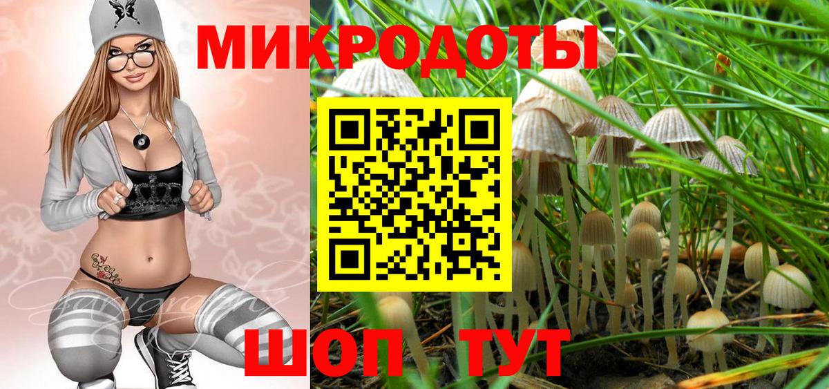 Псилоцибиновые грибы GOLDEN TEACHER Благодарный