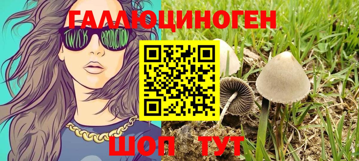 Псилоцибиновые грибы Psilocybine cubensis  Галлюциногенные грибы Cubensis  Вход с VPN  Благодарный 